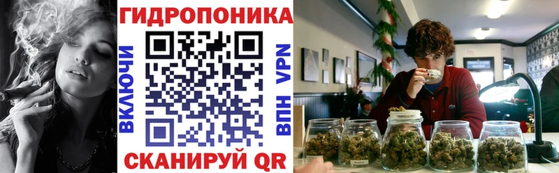 Что такое Брянск ТГК Галлюциногенные грибы OMG как зайти Меф Бошки Шишки ГАШ Амфетамин