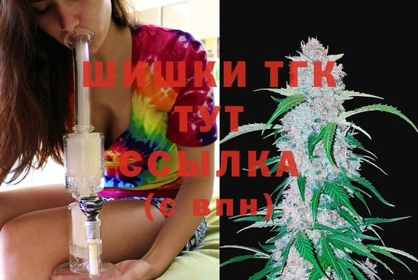 таблы Рославль
